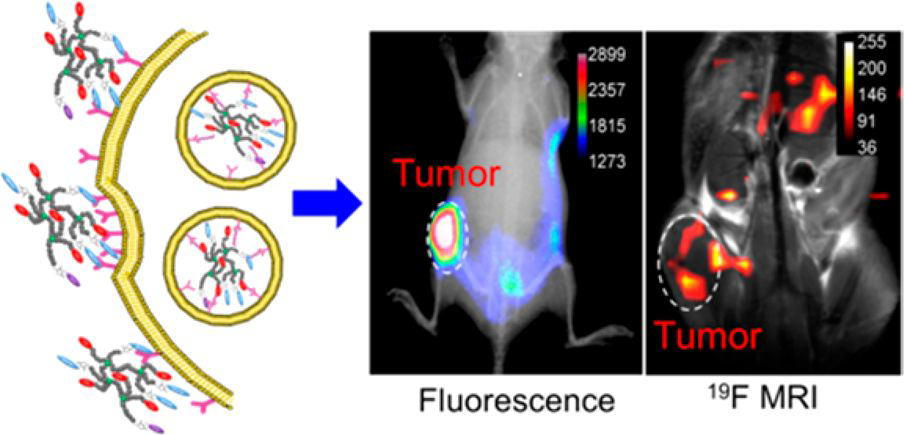 TOC Graphic ACS Nano paper