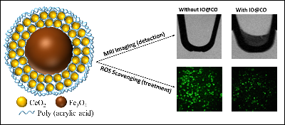 Scavenging of reactive oxygen and nitrogen species with nanomaterials. -  Abstract - Europe PMC