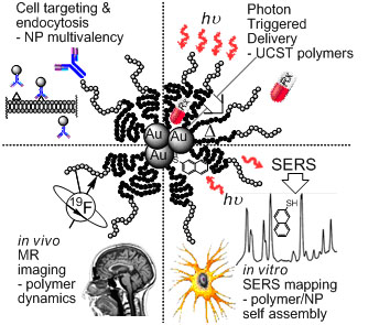 Design of Polymer Theranostics