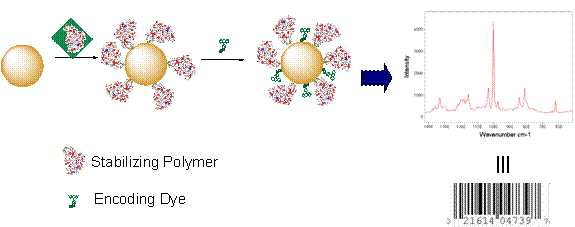 Schematic of SERS particle & SERS spectrum